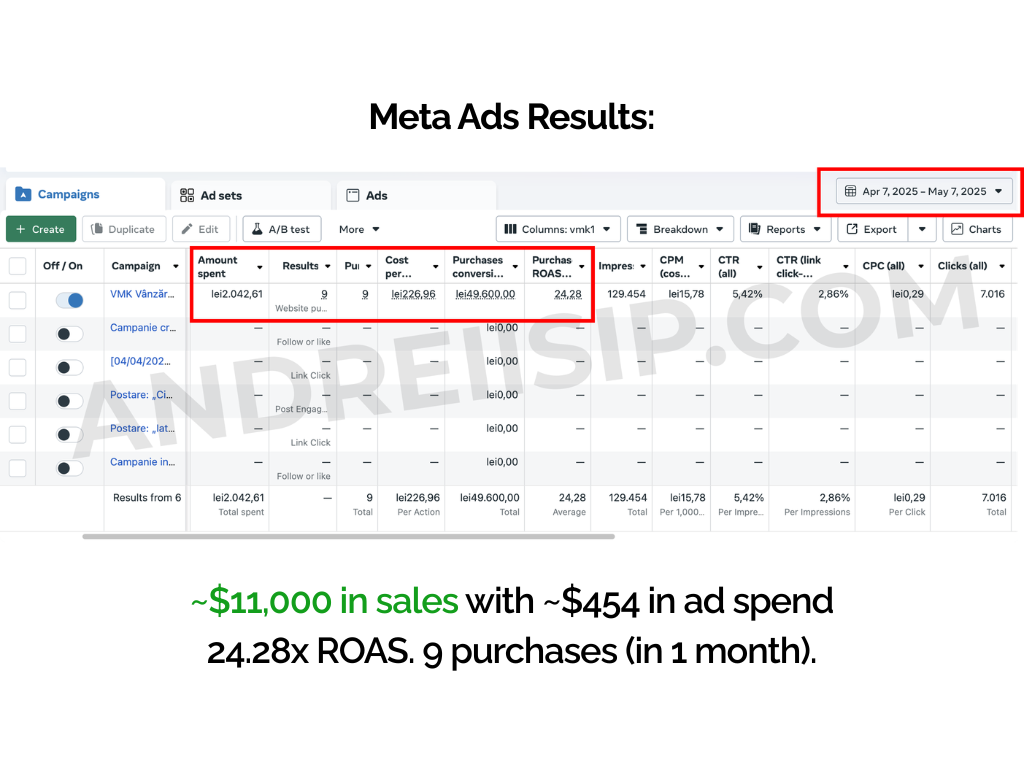 Meta Ads client campaign result 4