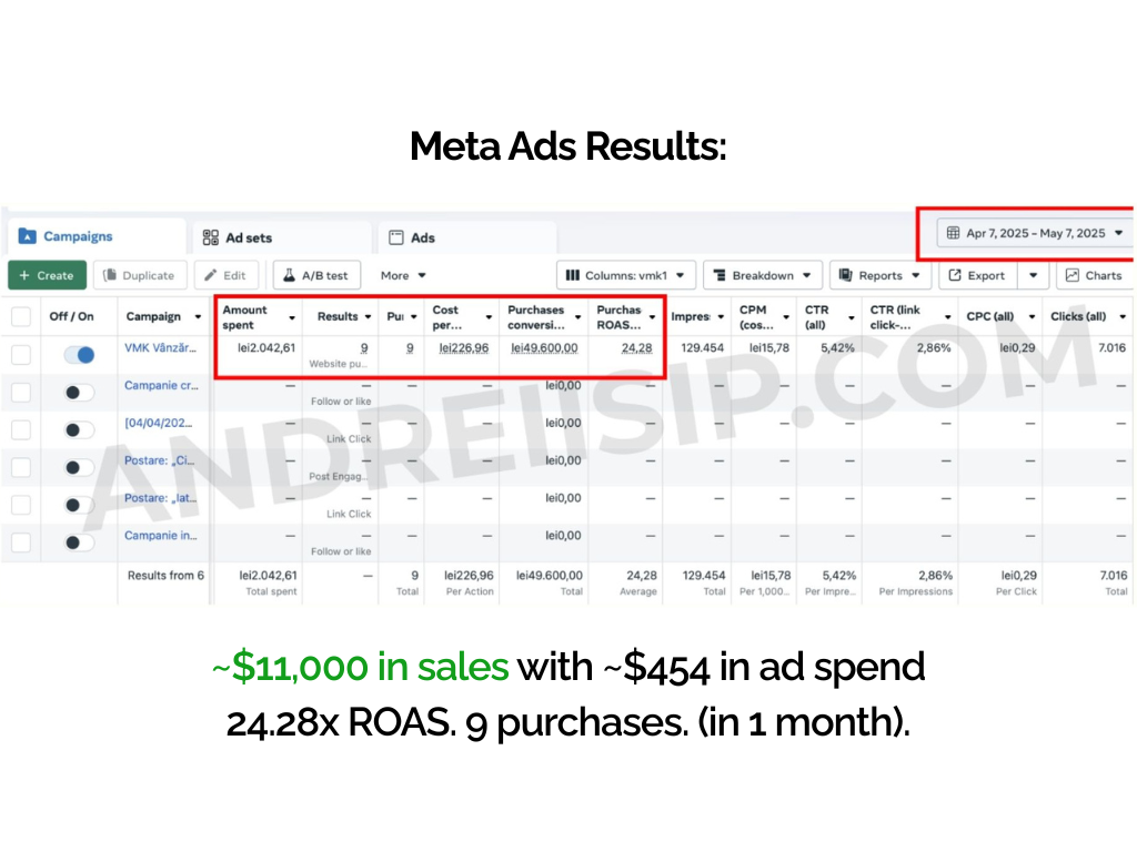 Meta Ads client campaign result 11