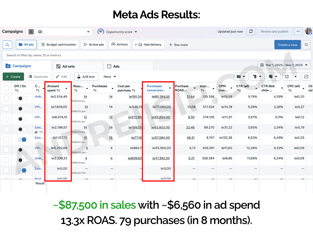 Rezultat campanie Meta Ads 14