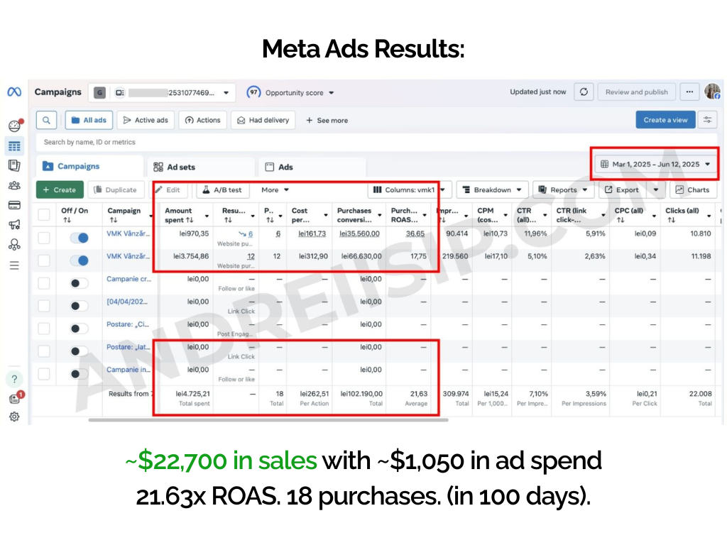 Rezultat campanie Meta Ads 5