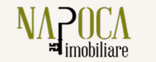 Logo client napocaimobiliare